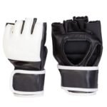 MMA Gloves
